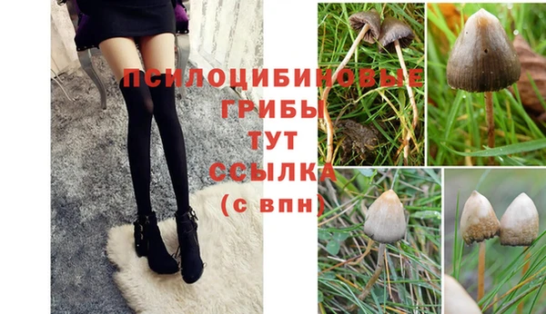 каннабис Карпинск
