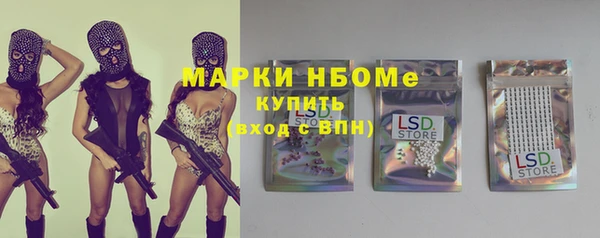 хмурый Касимов